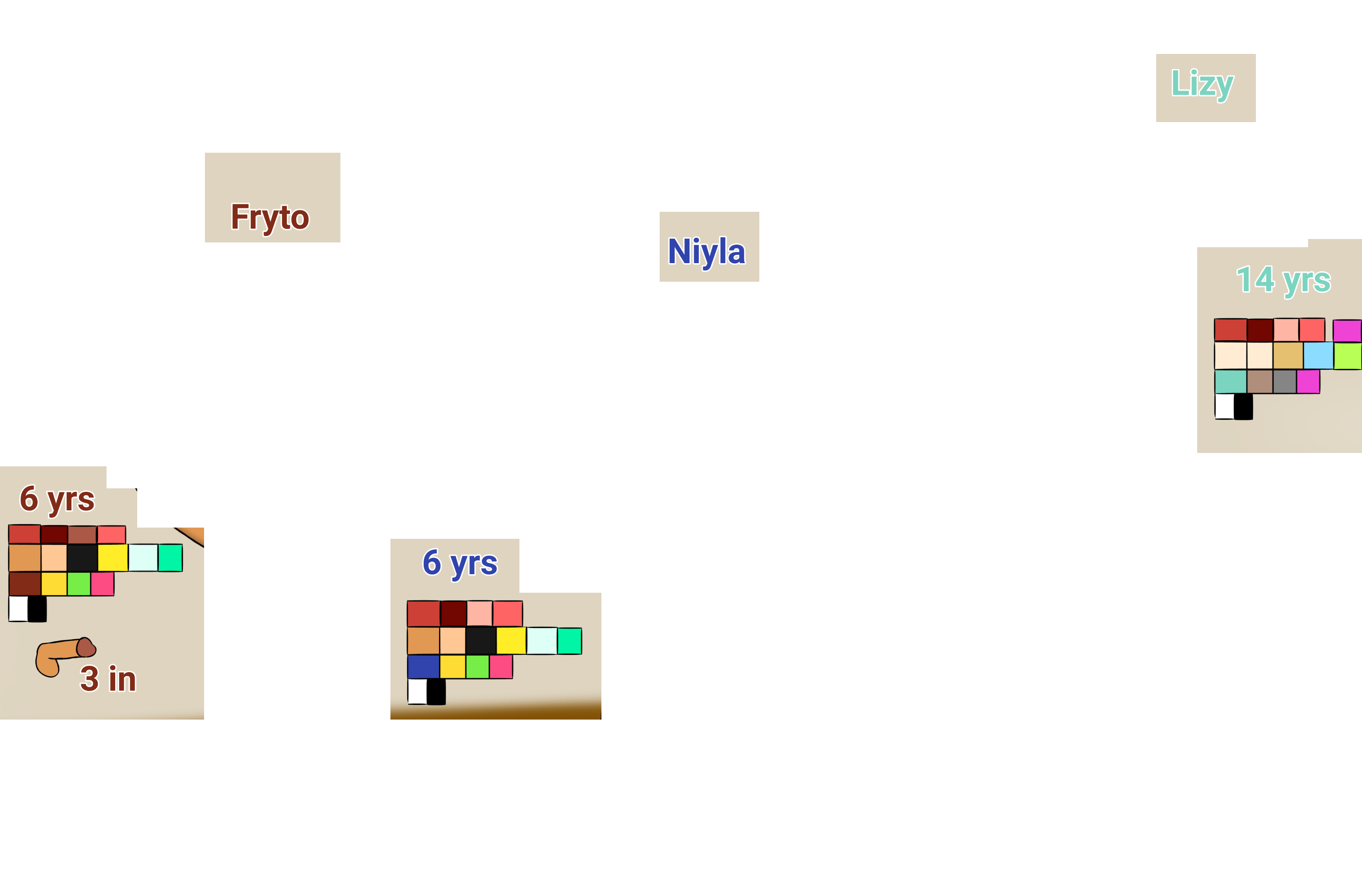 Image 14